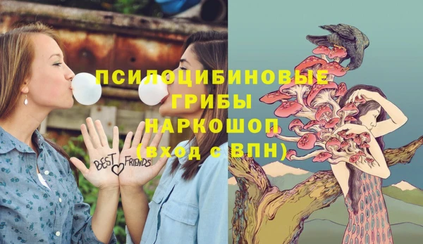 ECSTASY Мегион