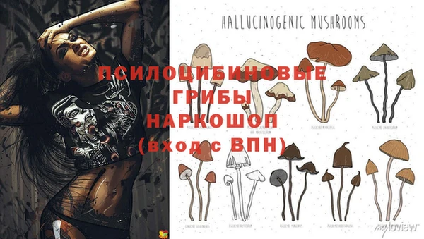 бутик Медногорск