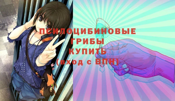 ECSTASY Мегион