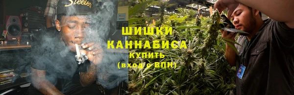 дмт Магас