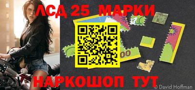 стафф Кандалакша