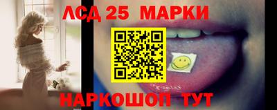 стафф Кандалакша