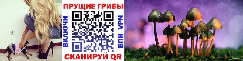 ОМГ ОМГ ТОР  Пушкино  Псилоцибиновые грибы Magic Shrooms 