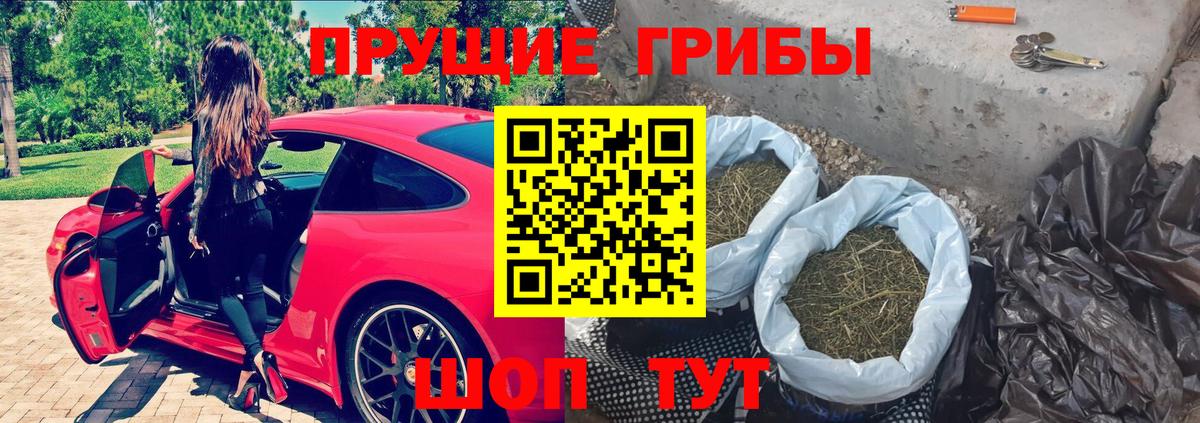 Меф Пушкино