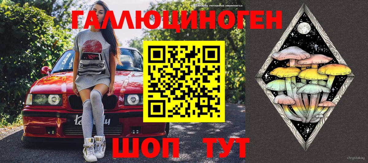 Псилоцибиновые грибы MAGIC MUSHROOMS  Пушкино  Псилоцибиновые грибы мицелий 